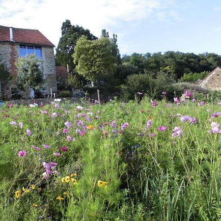 Mont-Saint-Jean  Vineyard Garden Studio מראה חיצוני תמונה
