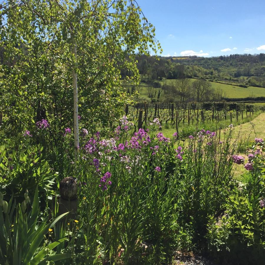 Mont-Saint-Jean  Vineyard Garden Studio מראה חיצוני תמונה