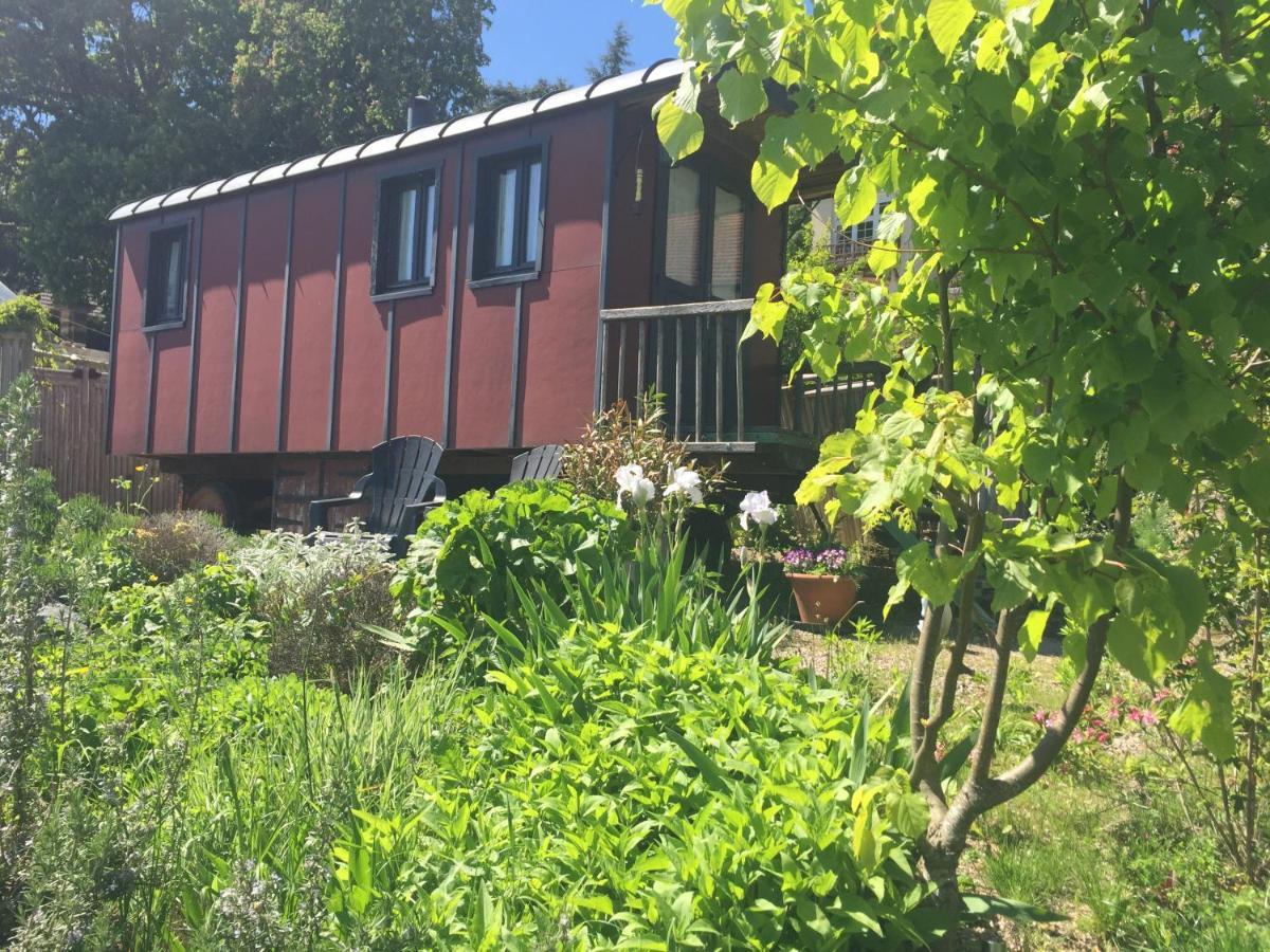 Mont-Saint-Jean  Vineyard Garden Studio מראה חיצוני תמונה