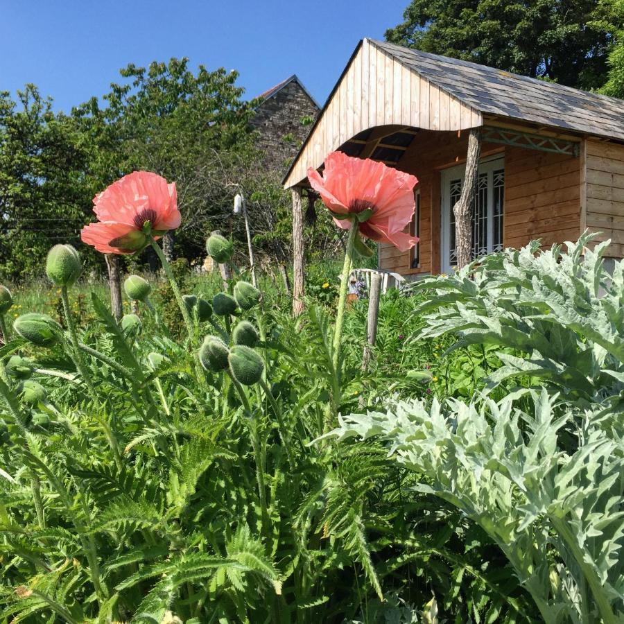 Mont-Saint-Jean  Vineyard Garden Studio מראה חיצוני תמונה