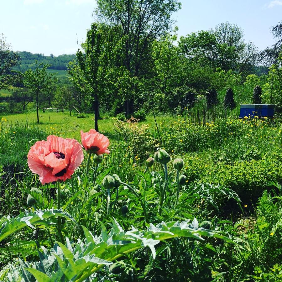 Mont-Saint-Jean  Vineyard Garden Studio מראה חיצוני תמונה